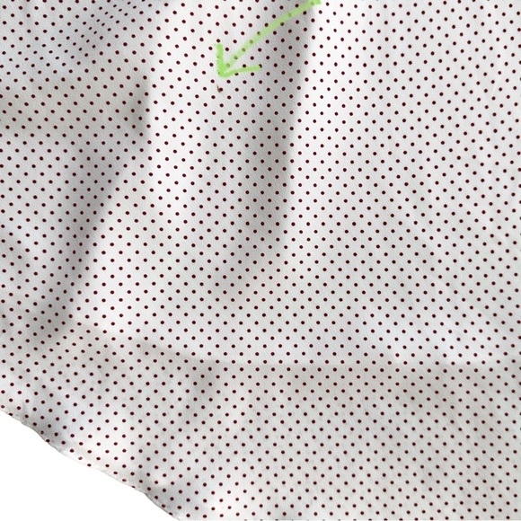 Alexis red dotted asymmetric Kadir skirt sz small silky flowy Revolve - Picture 14 of 15